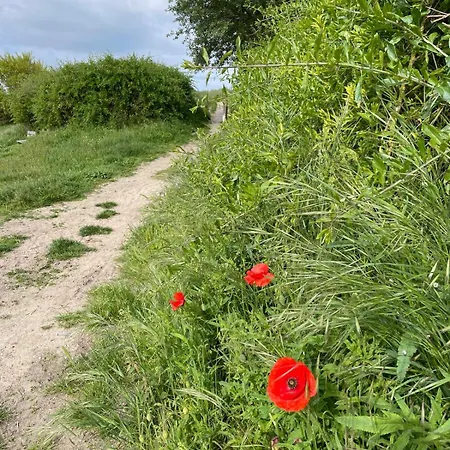 Panorama Raversijde - Let's Go Getaways * Ostend