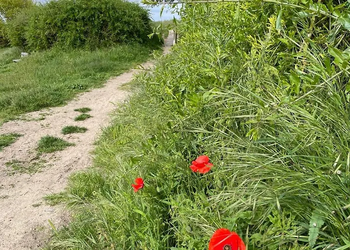 Let's Go Getaways Raversijde 502 * Ostenda